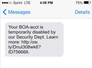 bank of america fraud text