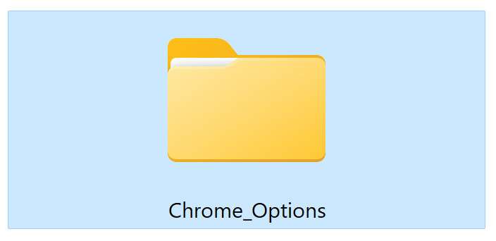 Chrome_Options Folder Virus