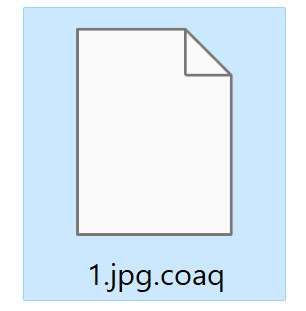 Image: File encrypted by the COAQ Ransomware