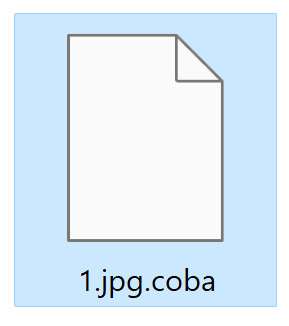 Image: File encrypted by the COBA Ransomware