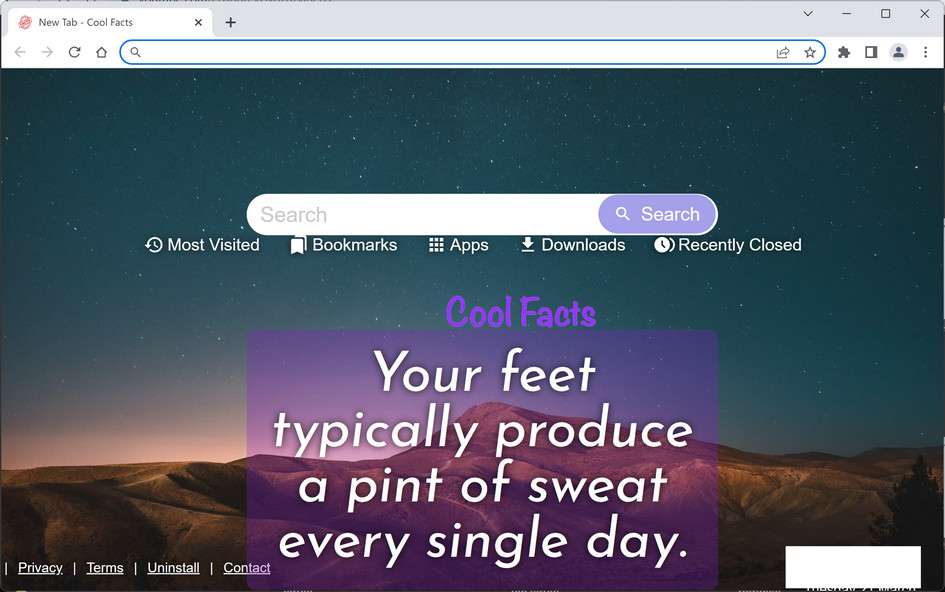 Image: Cool Facts Chrome new tab page