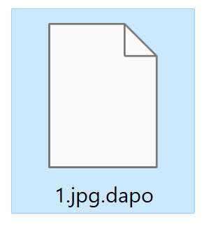 Image: DAPO Files Encrypted