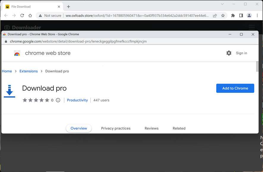 Image: Download Pro Chrome Extension