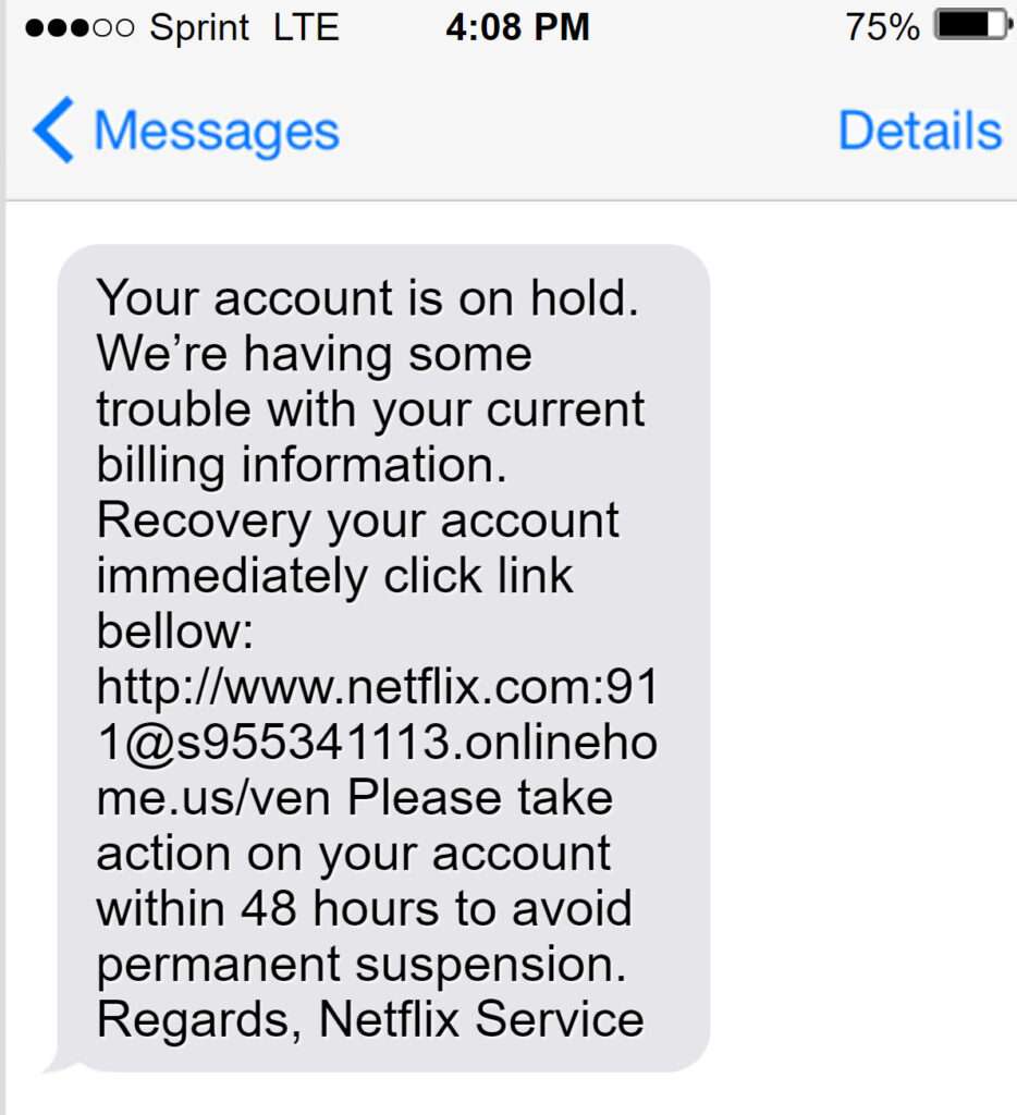 Netflix Account On Hold Scam