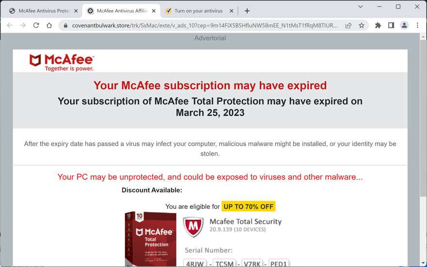 Image: Covenantbulwark.store Ad