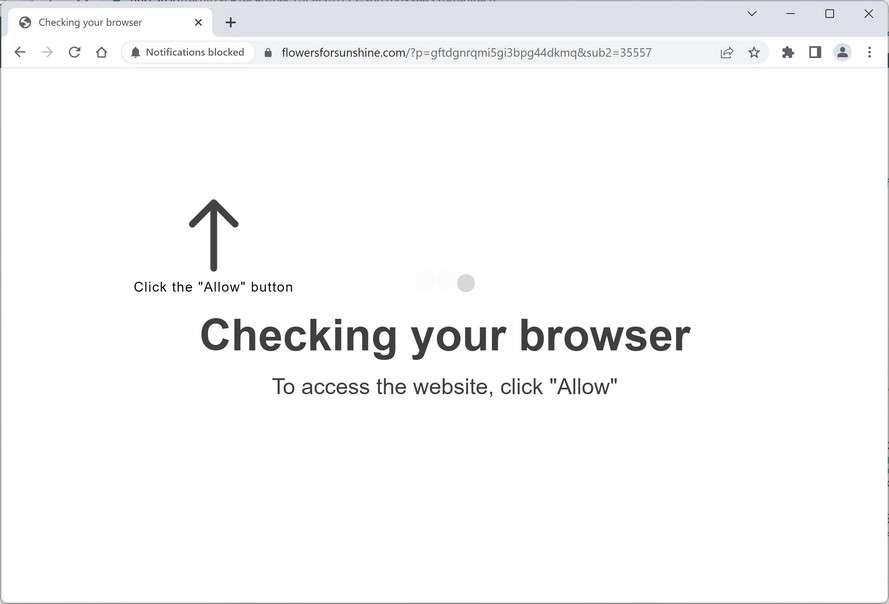 Image: Flowersforsunshine.com Ads