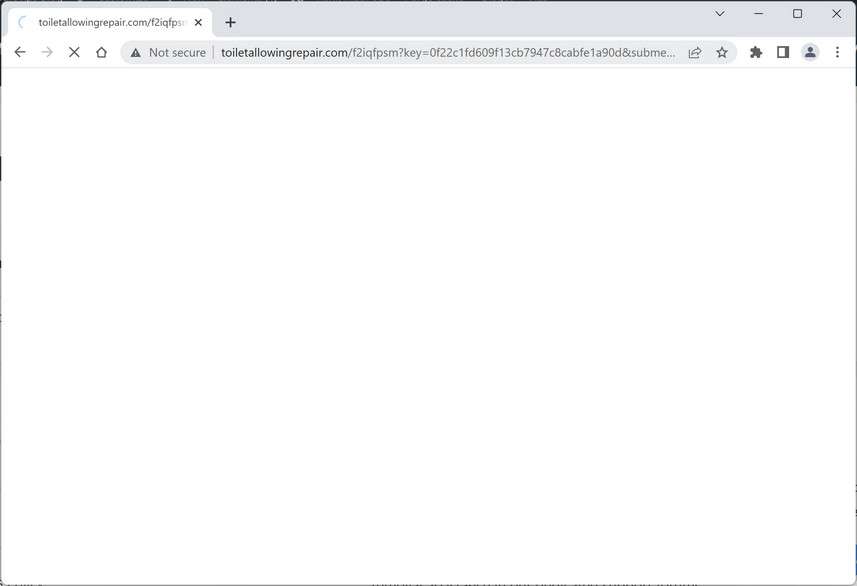 Image: Chrome browser is redirected to the Toiletallowingrepair.com site