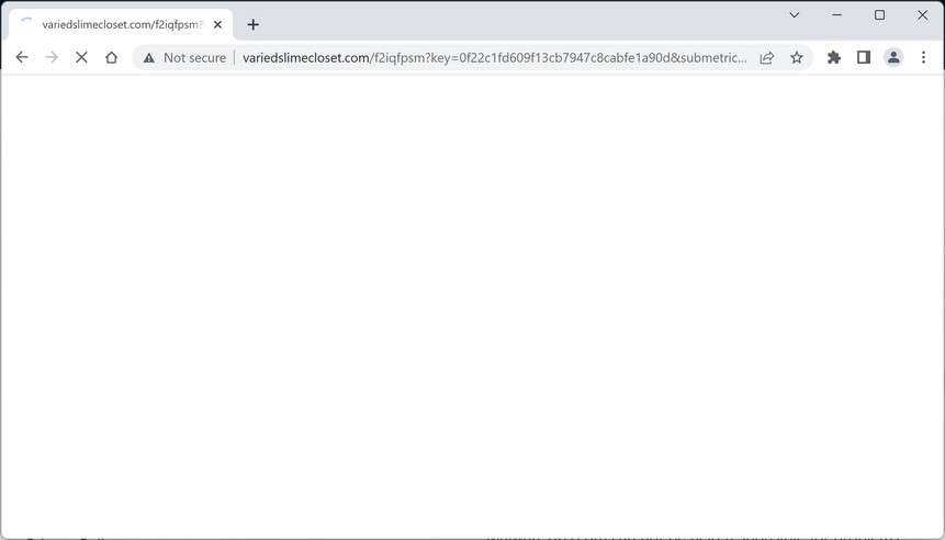 Image: Chrome browser is redirected to the Variedslimecloset.com site