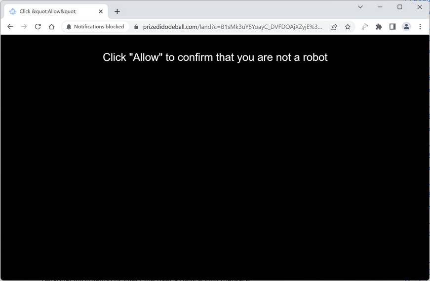 Image: Prizedidodeball.com ad