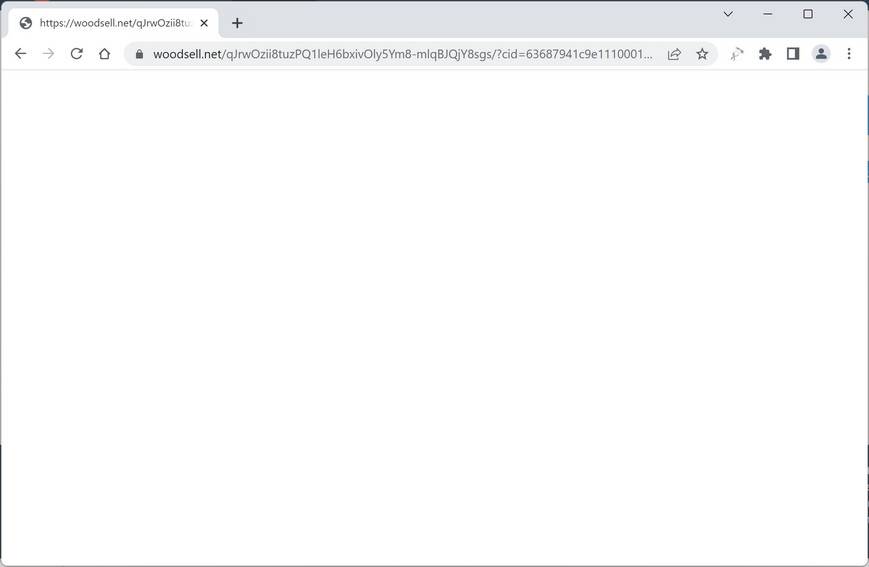Image: Chrome browser is redirected to Woodsell.net