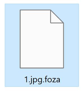 Image: FOZA Files Encrypted