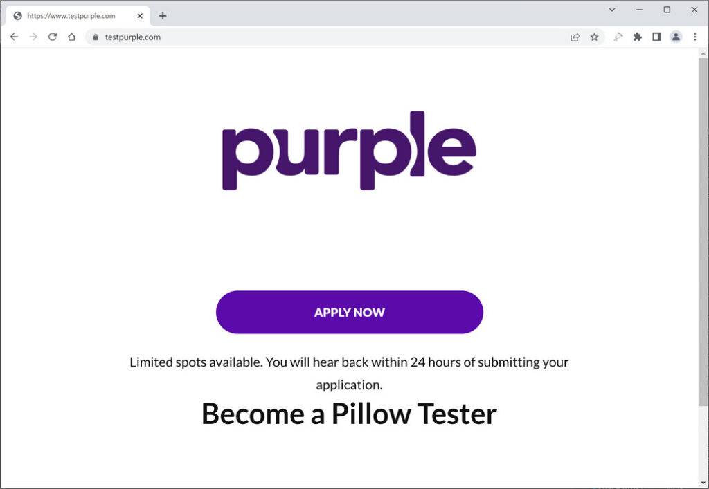 Purple Pillow Review 2023