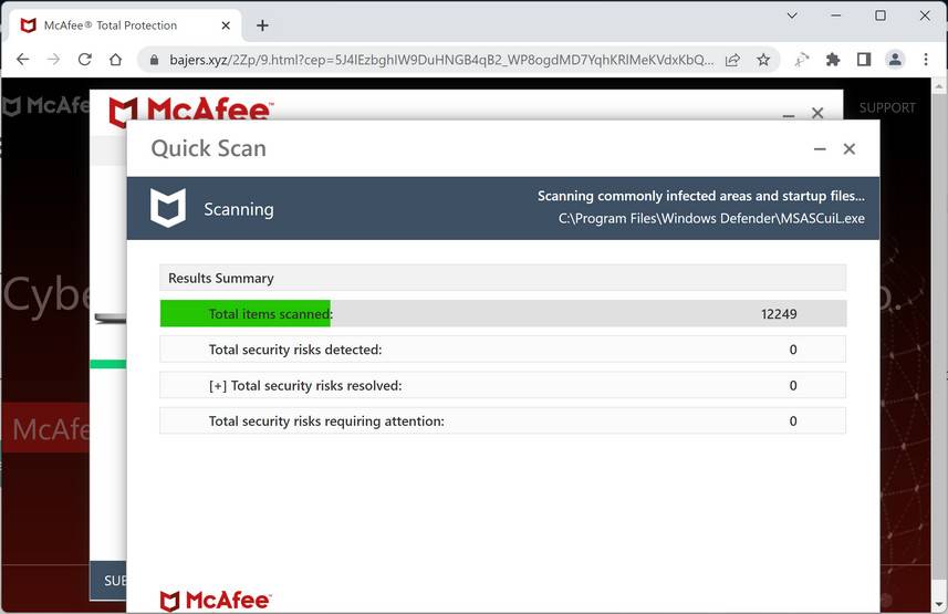 Screenshot of Bajers.xyz Fake Antivirus Scan