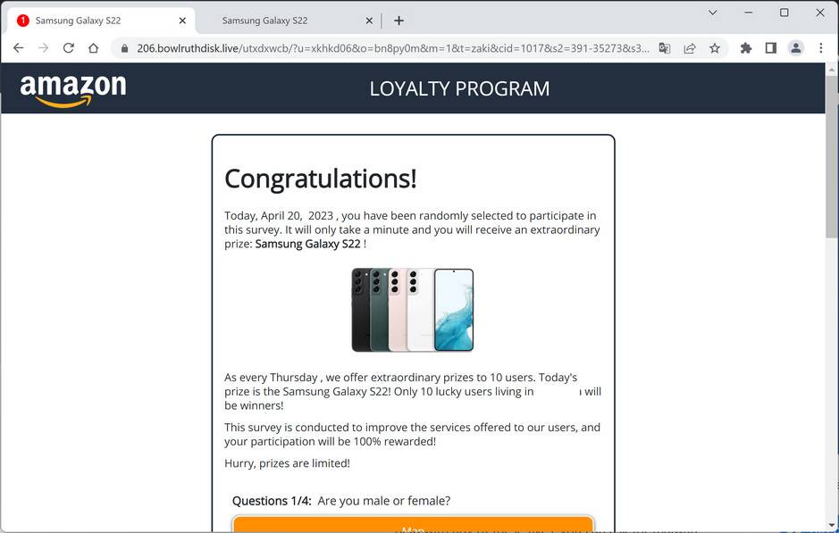 Screenshot of Bowlruthdisk.live Fake Survey