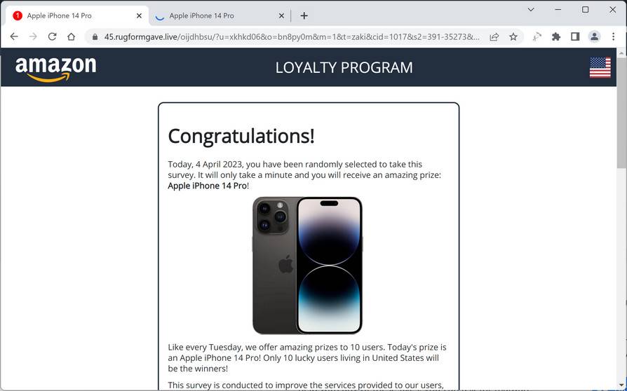 Screenshot of Rugformgave.live Fake Survey