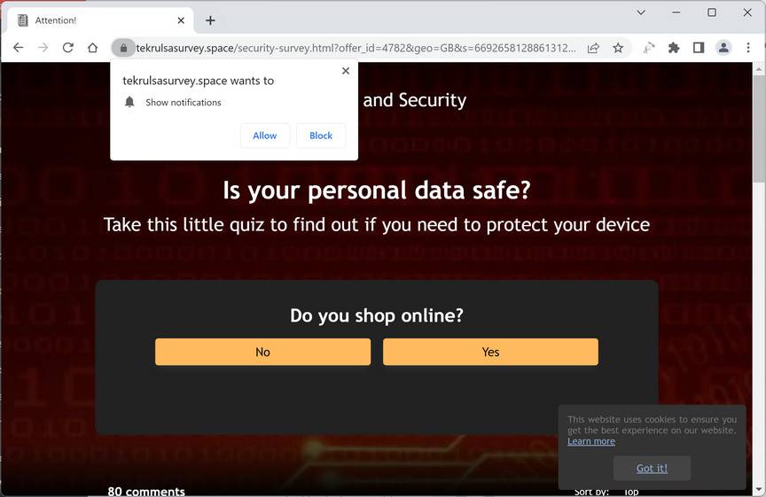 tekrulsasurvey.space ads