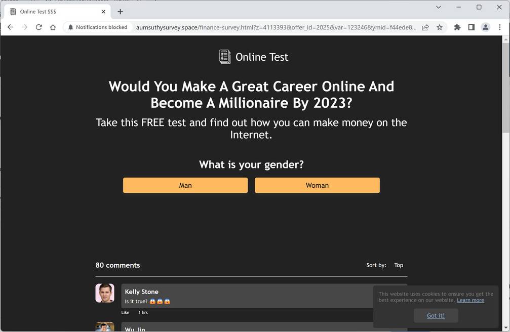 Aumsuthysurvey.space ad