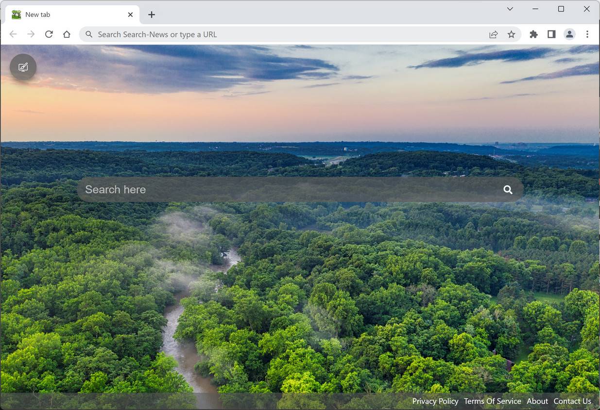 Amazon Rain Forest - New Tab Search