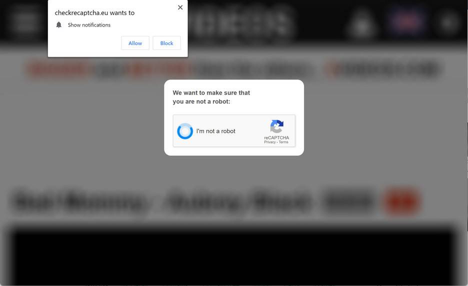 Image: Checkrecaptcha.eu Ads