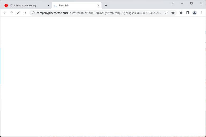 Companyplacescase.buzz ad