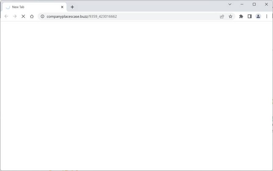 companyplacescase.buzz ad