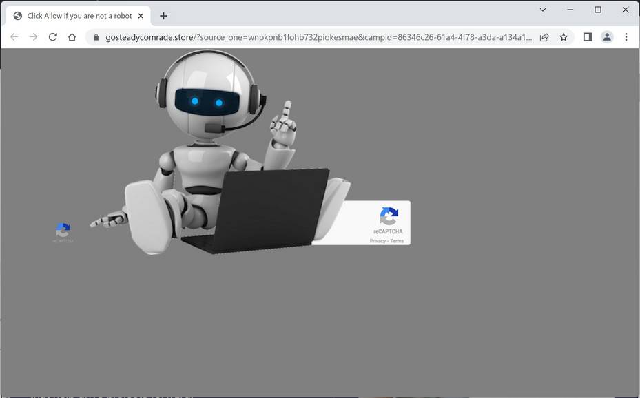 gosteadycomrade.store ad