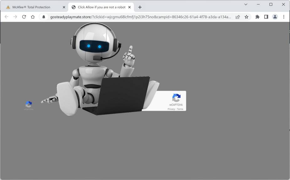 gosteadyplaymate.store ad