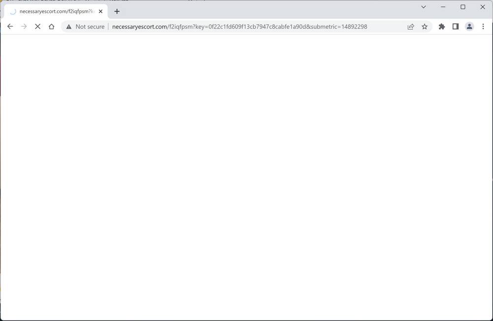 necessaryescort.com redirect