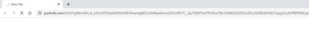 pushclk.com ad