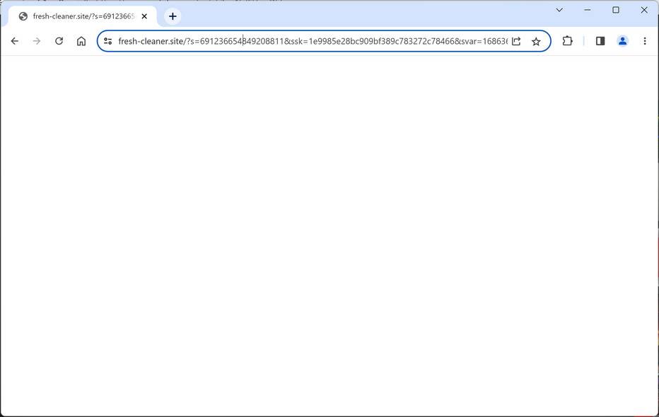 Fresh-cleaner.site ad