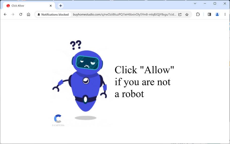 Buyhomestudio.com ad