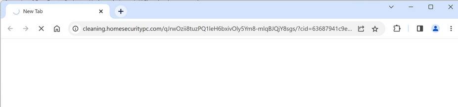 Cleaning.homesecuritypc.com scam