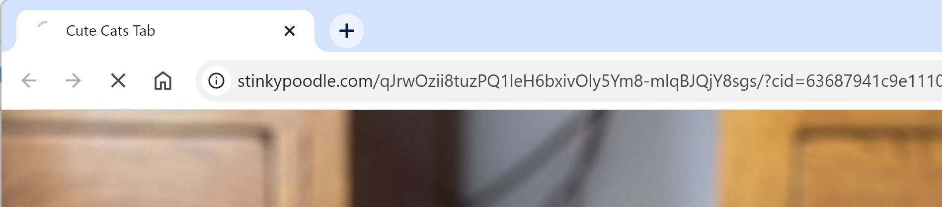 Stinkypoodle.com virus