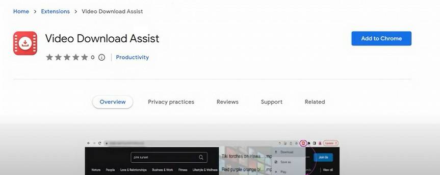 Video Download Assist
