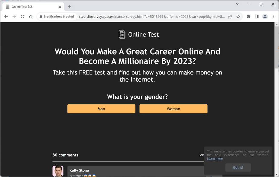 steerdibsurvey.space ad