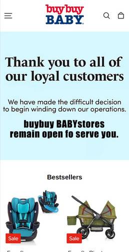 Babyjoynewyork.com scam