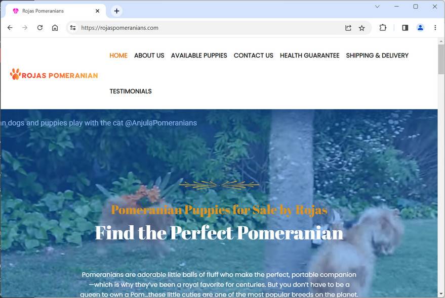 Rojaspomeranians.com scam