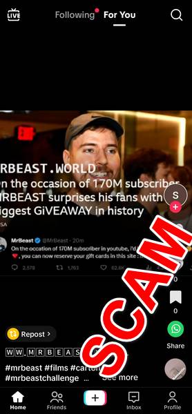 Scam MrBeast