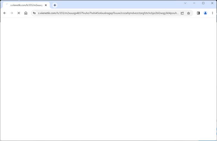 s.viienetik.com scam