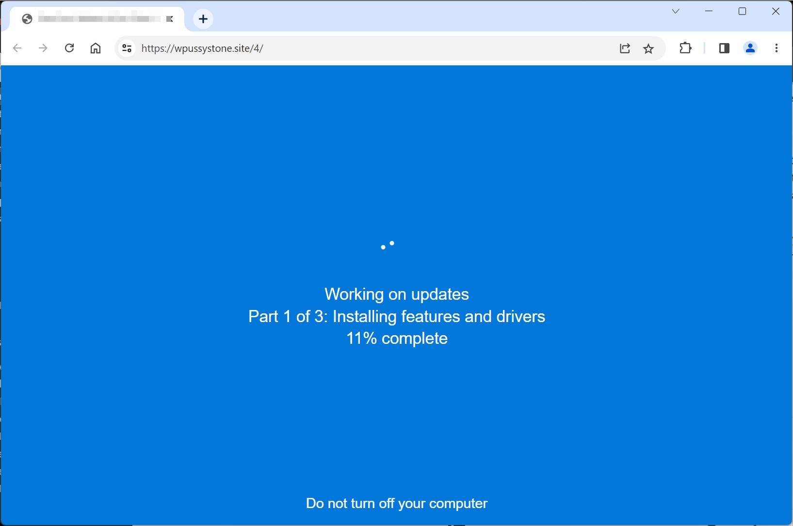 wpussystone.site scam
