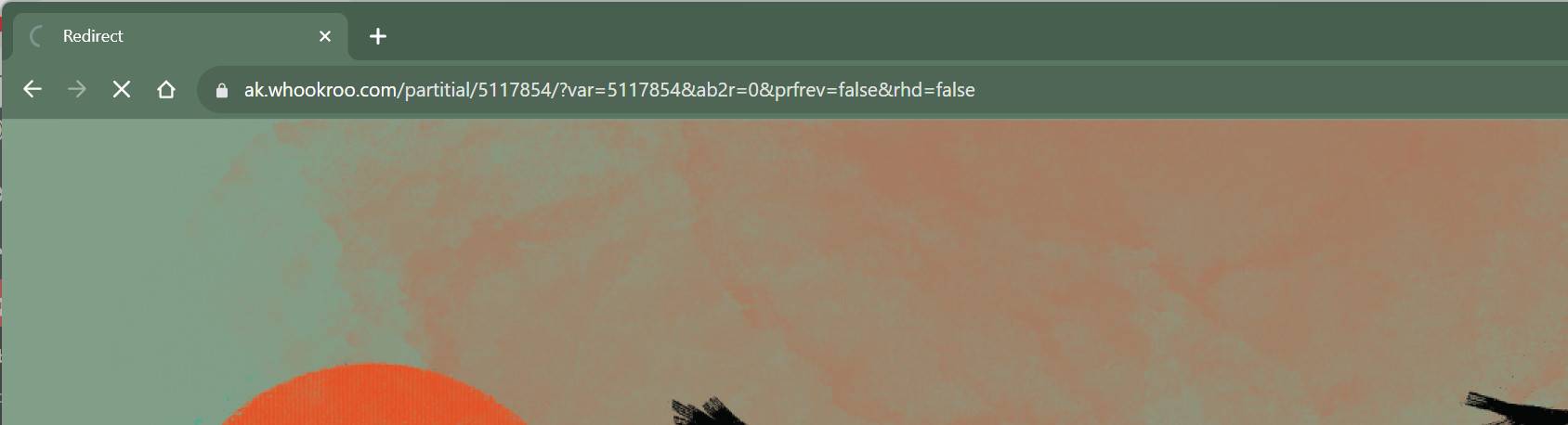 Ak.whookroo.com malware