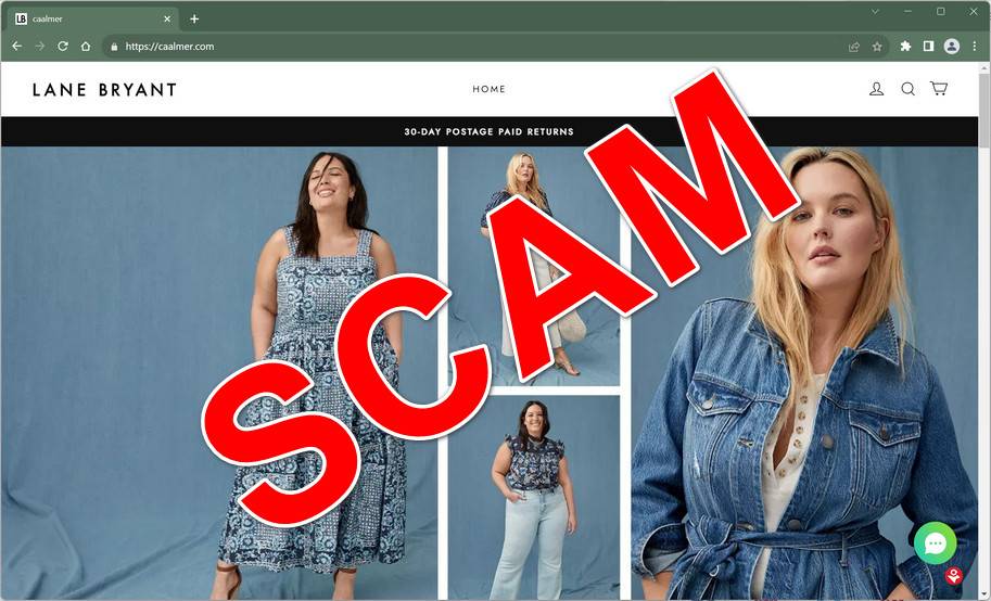 Warning: Don’t Get Scammed By Fake Lane Bryant Websites
