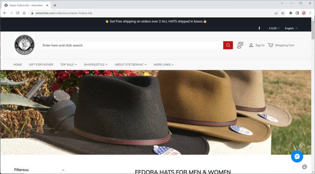 Stetsenhat.com china