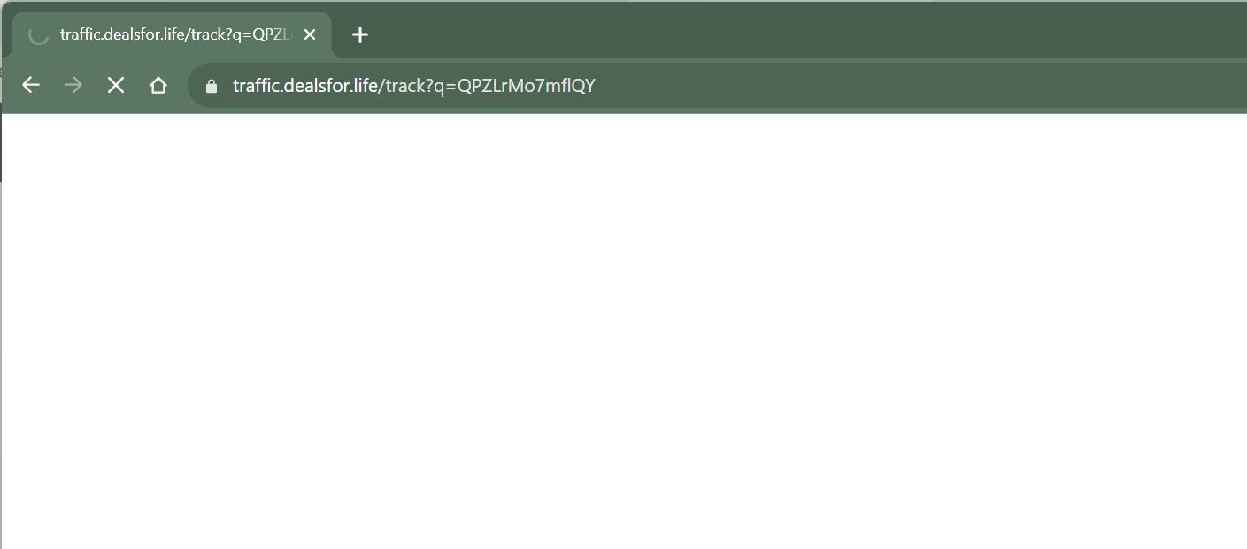Traffic.dealsfor.life s