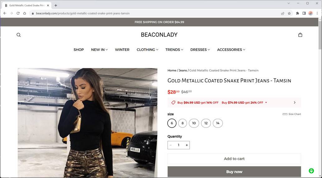 beaconlady.com china