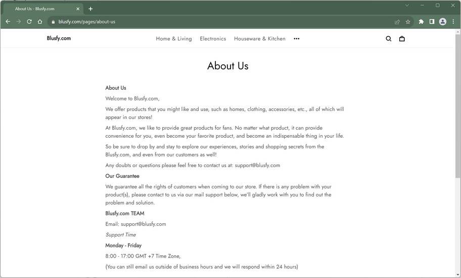 blusfy.com china no company