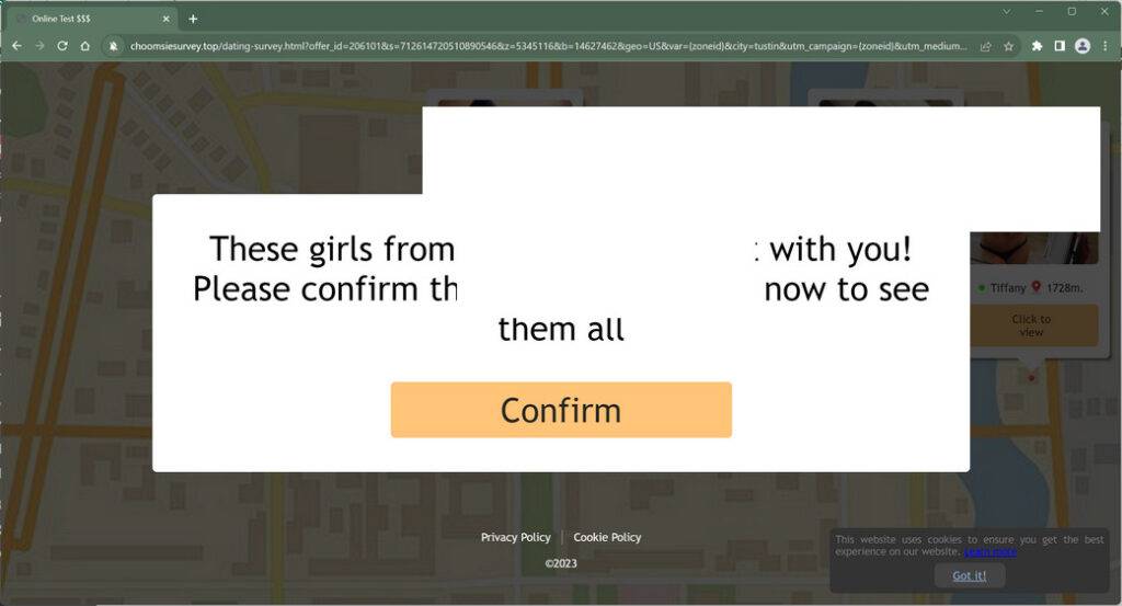 choomsiesurvey.top scam