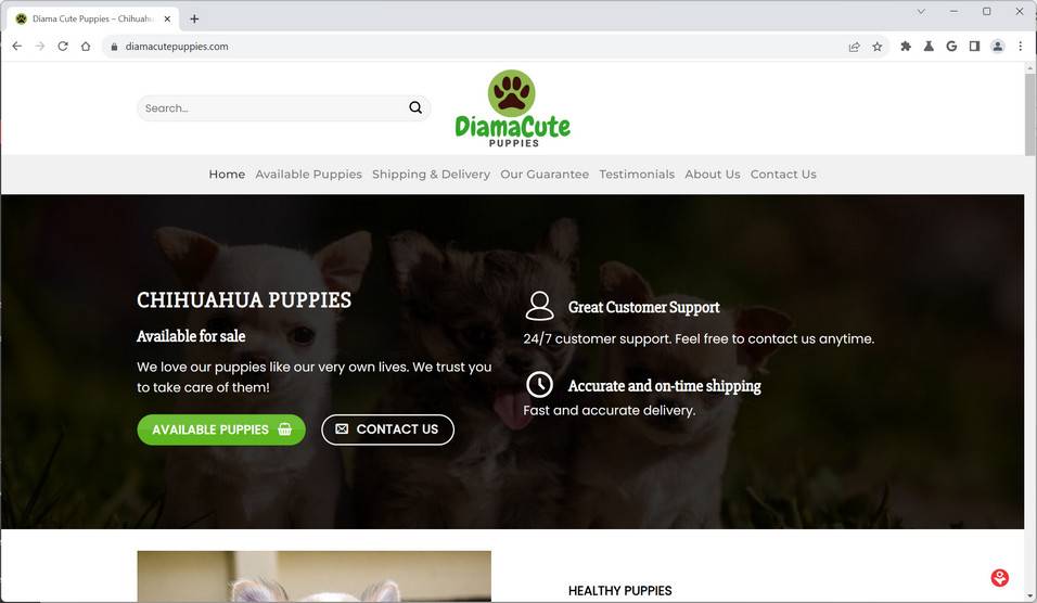 diamacutepuppies.com DOGS china