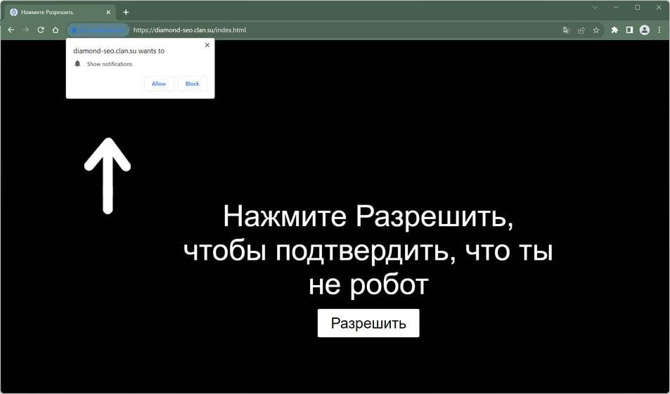 diamond-seo.clan.su scam