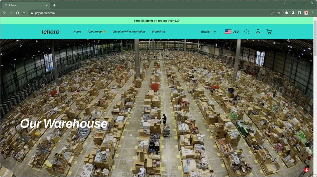 pay.opister.com china